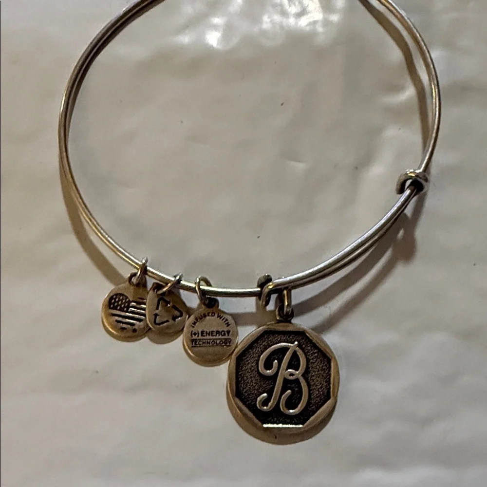 Alex and Ani Silver Initial B Charm Bracelet - Picture 1 of 3